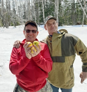 Майские яблочки 2024