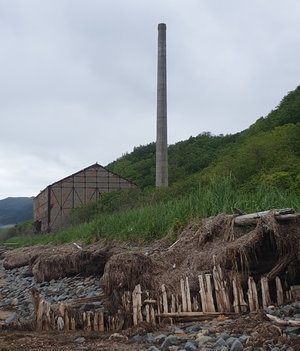 Бошняково-Амбецу-Пильво (2020)