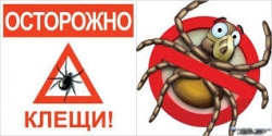 Защита от клещей