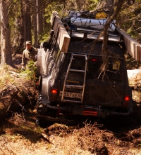 м. Марии (2015)